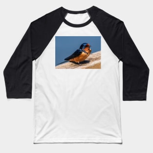 Barn Swalllow Portrait Baseball T-Shirt